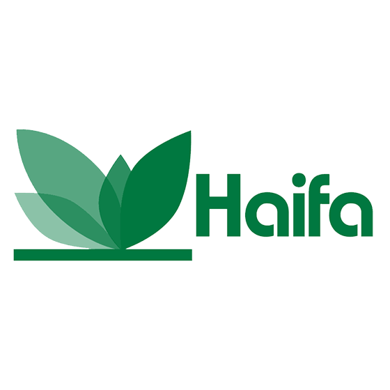 haifa