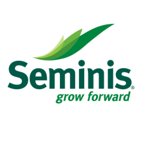 seminis